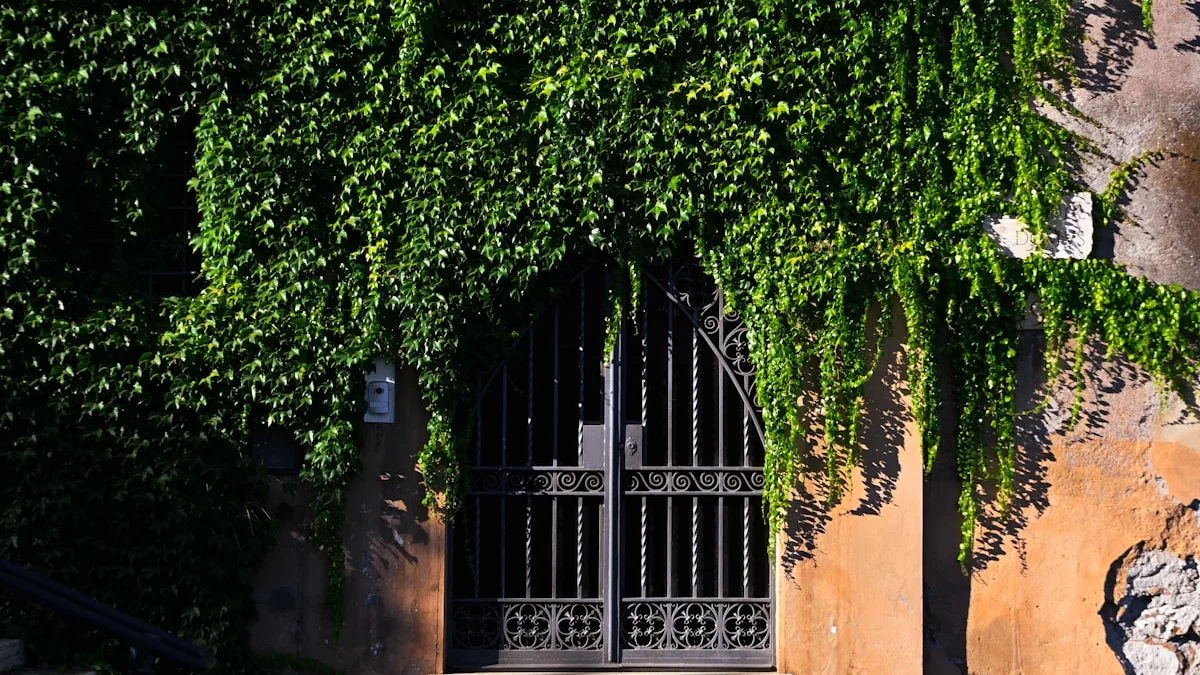 Green ivy drapes over a wrought-iron gate set in a sun-warmed stone wall. — a The Obsidian Key guide to 7 Boundary Mistakes That Keep You Exhausted.