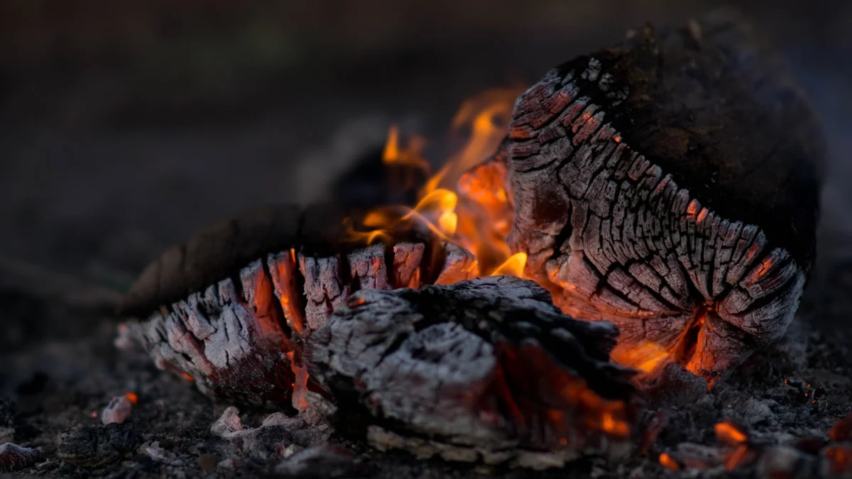 Close-up of burning wood and glowing orange embers in the dark. — a The Obsidian Key guide to Outrage: The Costliest Leak in the Circuit.