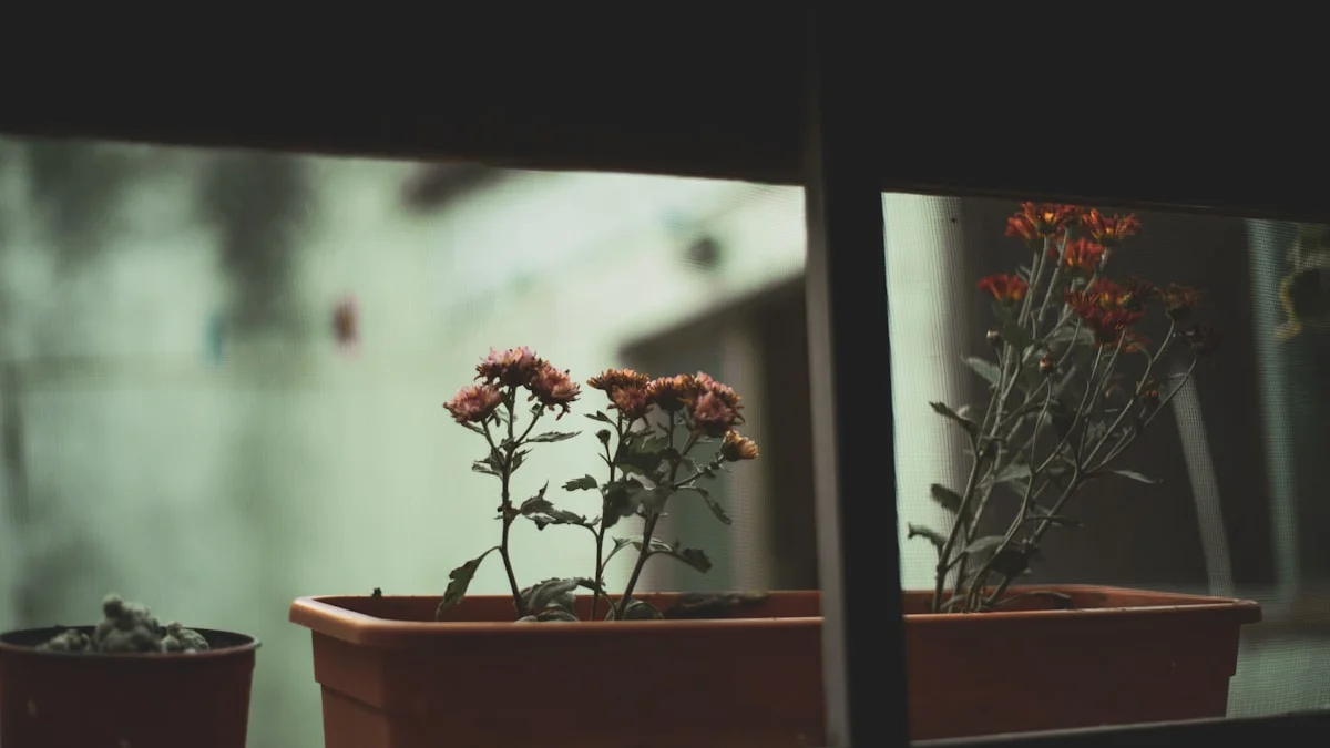Pink flowers in a weathered terracotta window box beside a frosted window. — a The Obsidian Key guide to Skepticism or Impatience: Judging a Method Honestly.