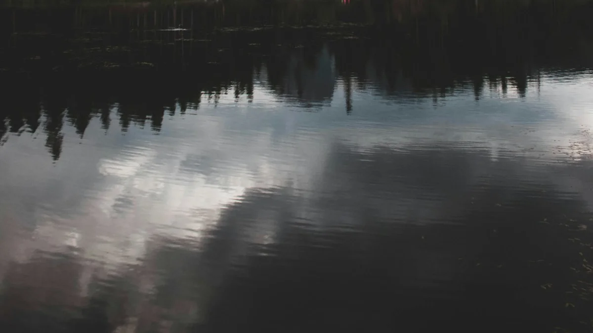 Dark still water mirrors a wall of trees under a heavy grey sky. — a The Obsidian Key guide to The Still Seat: Sitting Without Fighting Your Thoughts.