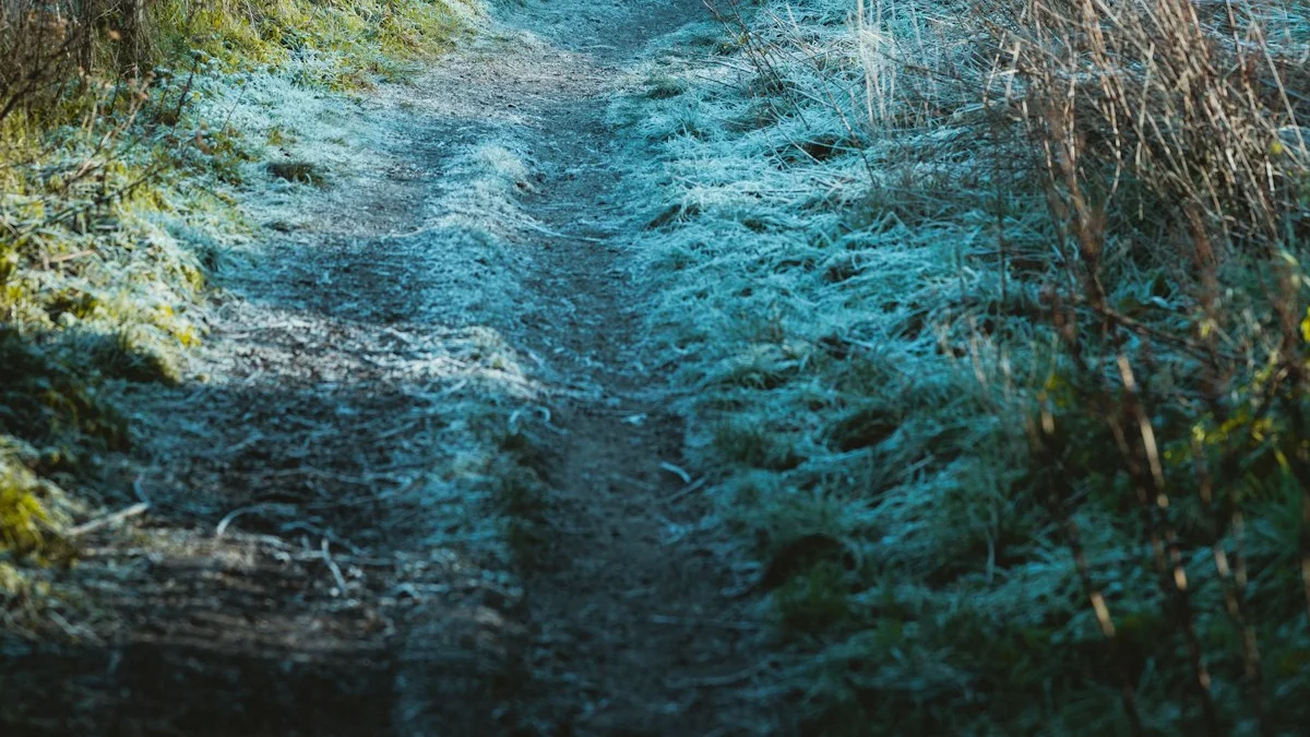 A frosted path winds between silent, snow-dusted grasses on a windless winter morning. — a The Obsidian Key guide to Stillness vs Silence: Why a Quiet Room Is Not Enough.