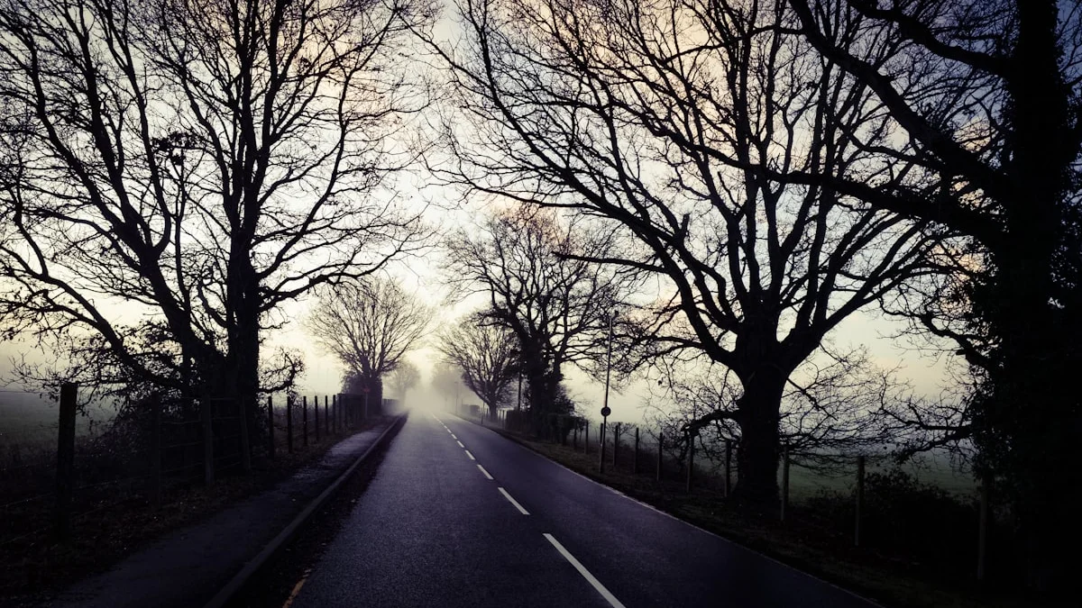 A wet country road at dawn runs between bare trees and thinning morning fog. — a The Obsidian Key guide to The Casting Out: Why the Narrator Was Expelled.