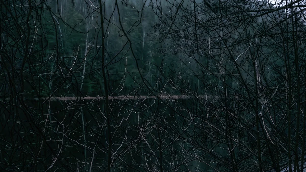A dark still lake sits behind bare branches under a misty forest. — a The Obsidian Key guide to The Receiver: Where Your Nervous System Meets the Signal.