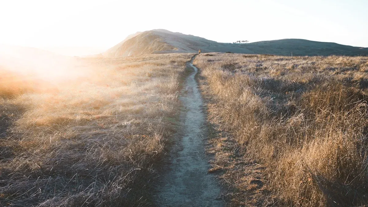 A single narrow footpath trail curves through dry golden grass in soft dawn light. — a The Obsidian Key guide to Week One of the Thirty-Day Path: Stillness and the Seal.